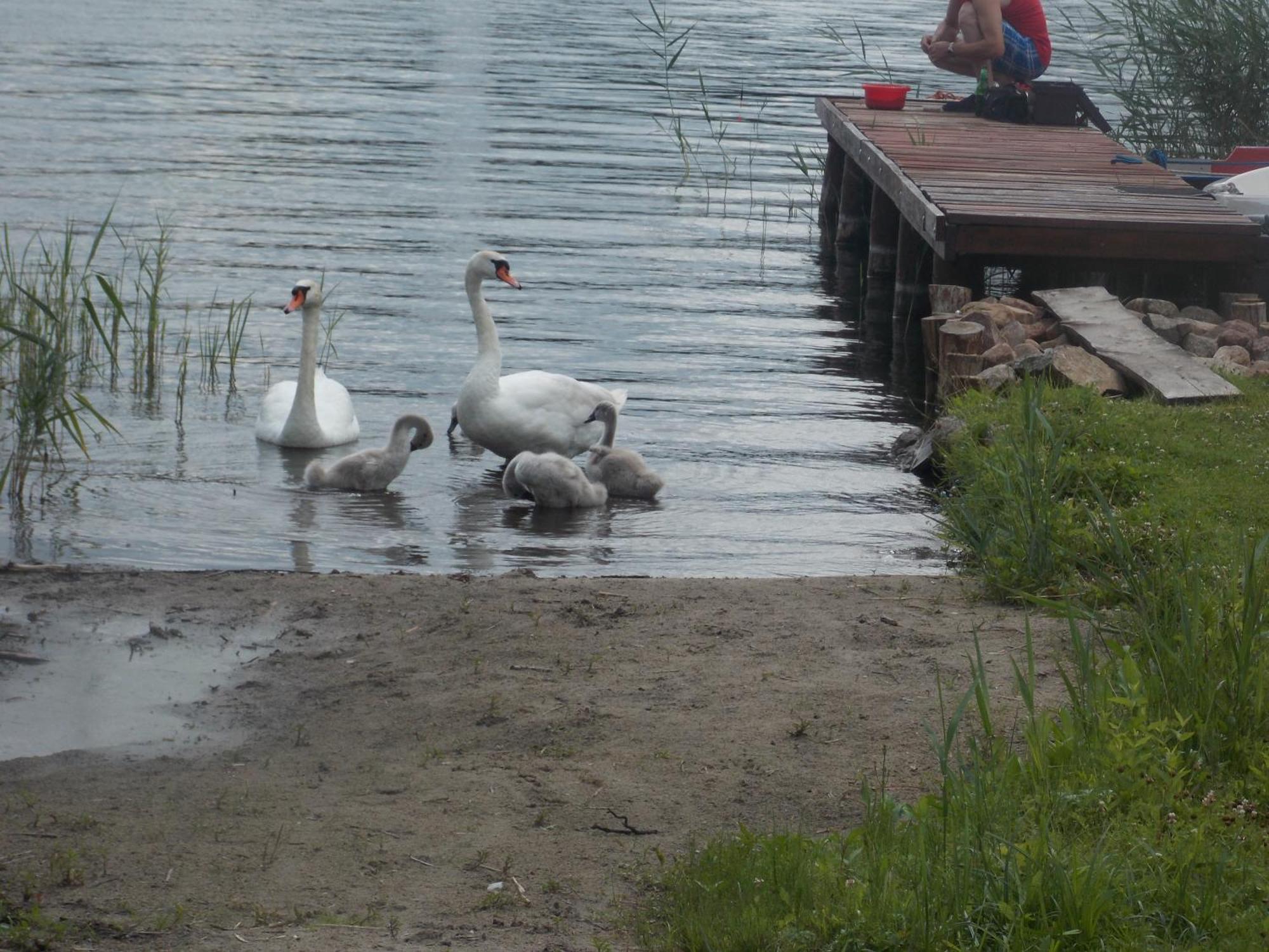 Mazury Home Гижицко Экстерьер фото
